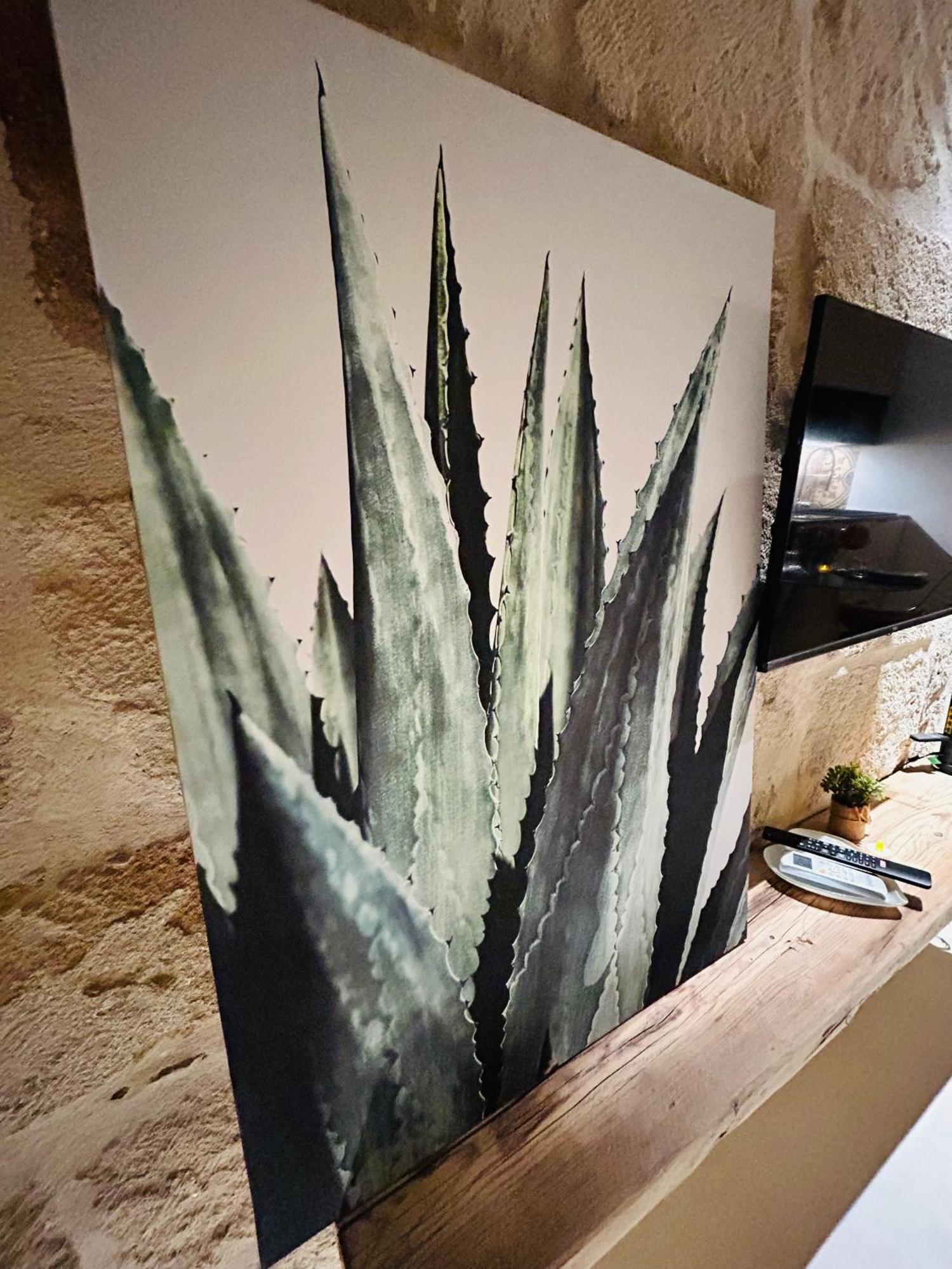 My Loft - Monopoli Apartment Ngoại thất bức ảnh